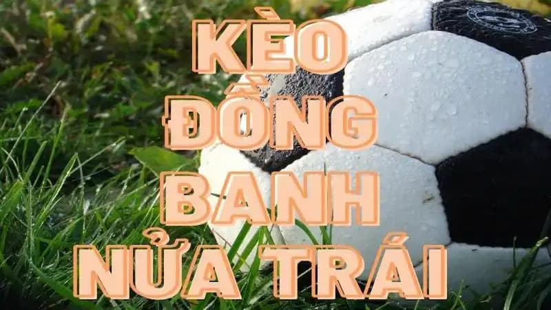 3 bước hướng dẫn đặt cược kèo đồng banh