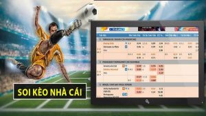 Lựa chọn giải đấu phù hợp
